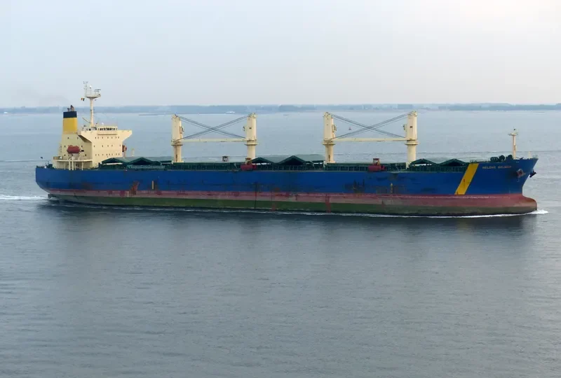 HELENE SELMER Bulk Carrier IMO 9290878 photo 3