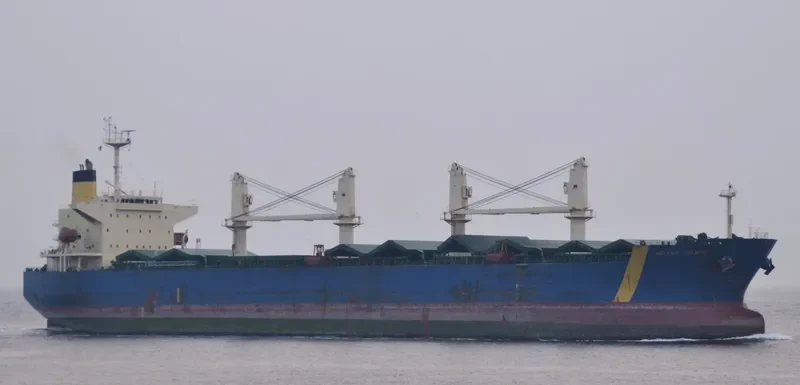 HELENE SELMER Bulk Carrier IMO 9290878 photo 7