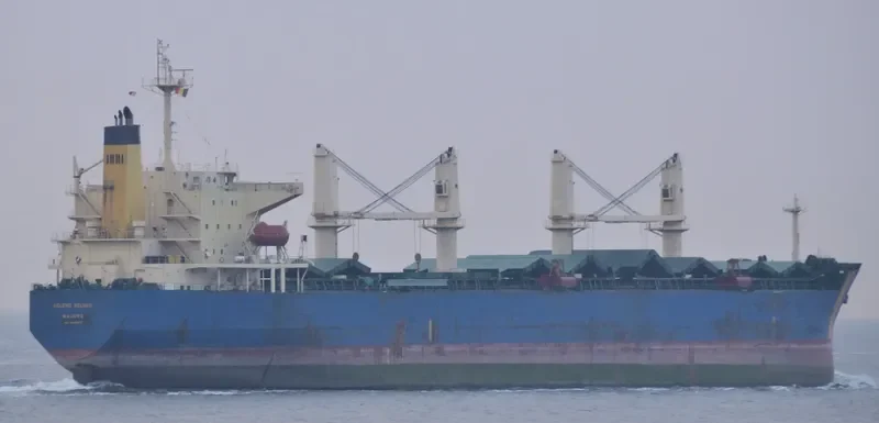 HELENE SELMER Bulk Carrier IMO 9290878 photo 8