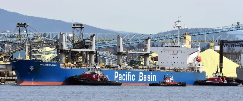 ELIZABETH RIVER Bulk Carrier IMO 9290892 photo 2