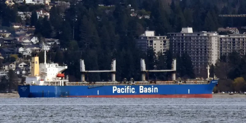 ELIZABETH RIVER Bulk Carrier IMO 9290892 photo 5