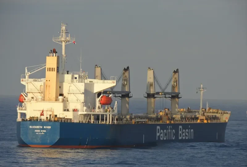 ELIZABETH RIVER Bulk Carrier IMO 9290892 photo 9