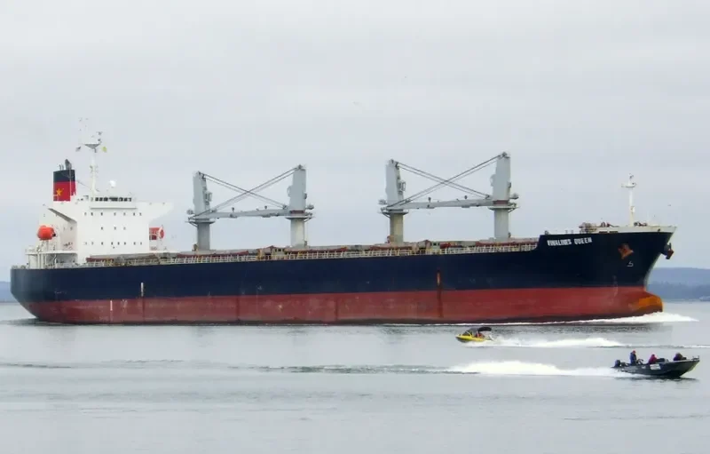 VINALINES QUEEN Bulk Carrier IMO 9290907 photo 2