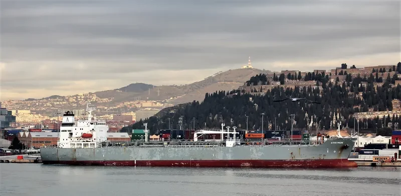VICTORIOUS Tanker IMO 9290919 photo 3