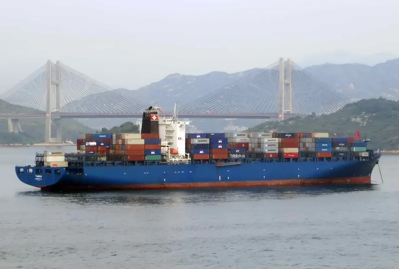 TAMINA Container Ship IMO 9290945