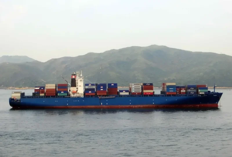 TAMINA Container Ship IMO 9290945 photo 2