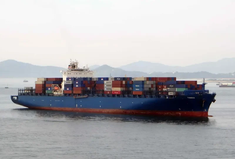 TAMINA Container Ship IMO 9290945 photo 3