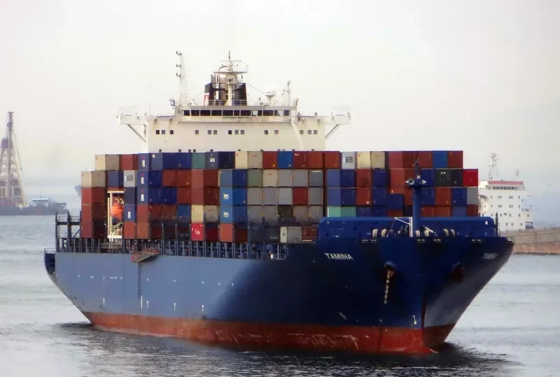 TAMINA Container Ship IMO 9290945 photo 4