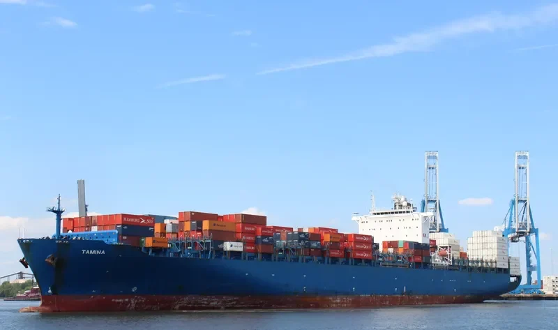 TAMINA Container Ship IMO 9290945 photo 7
