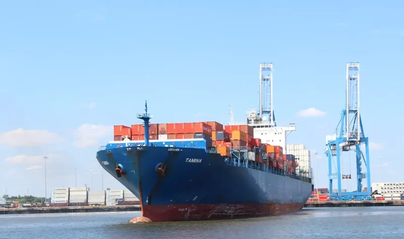 TAMINA Container Ship IMO 9290945 photo 8