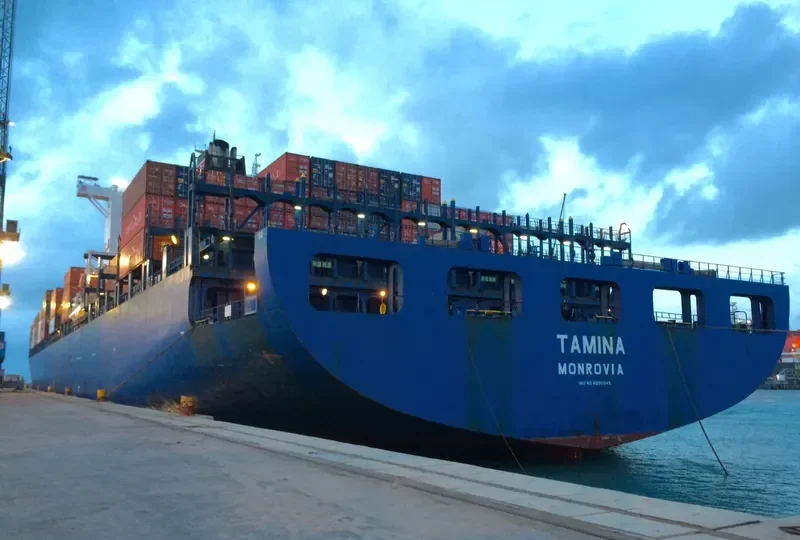 TAMINA Container Ship IMO 9290945 photo 9
