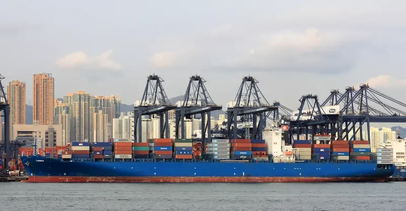 TAMINA Container Ship IMO 9290945 photo 10
