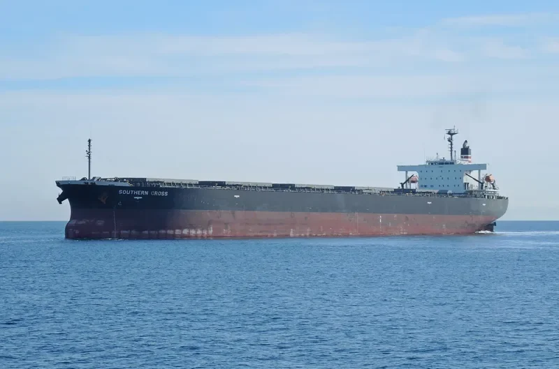 ORIENTAL ENTERPRISE Bulk Carrier IMO 9290971 photo 8