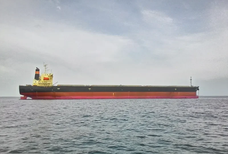 ORIENTAL ENTERPRISE Bulk Carrier IMO 9290971 photo 10