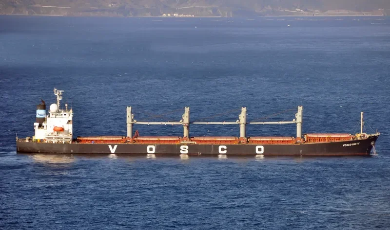 VOSCO UNITY Bulk Carrier IMO 9290983 photo 8