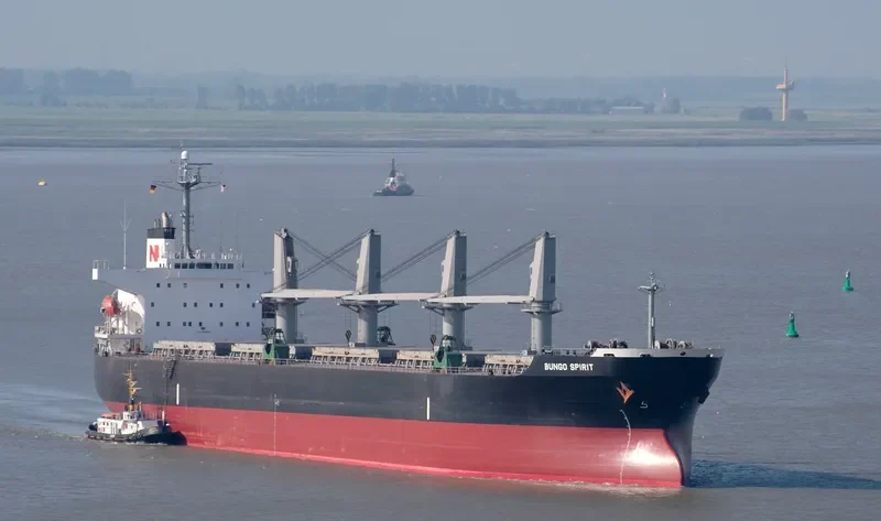 FANEROMENI Bulk Carrier IMO 9290995