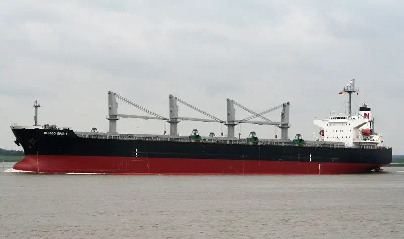 FANEROMENI Bulk Carrier IMO 9290995 photo 2
