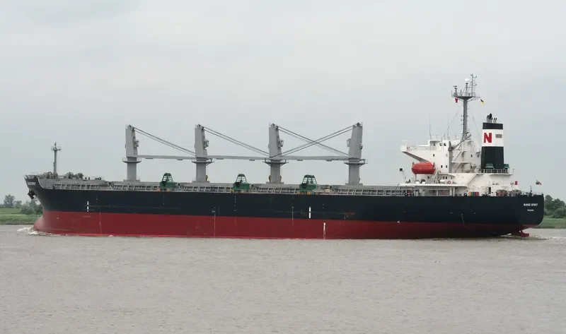 FANEROMENI Bulk Carrier IMO 9290995 photo 3