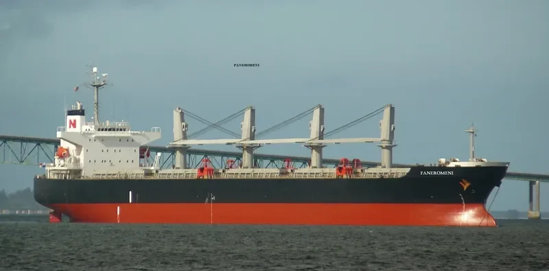 FANEROMENI Bulk Carrier IMO 9290995 photo 4
