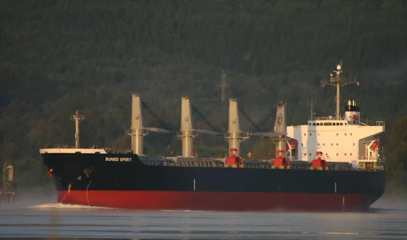 FANEROMENI Bulk Carrier IMO 9290995 photo 6