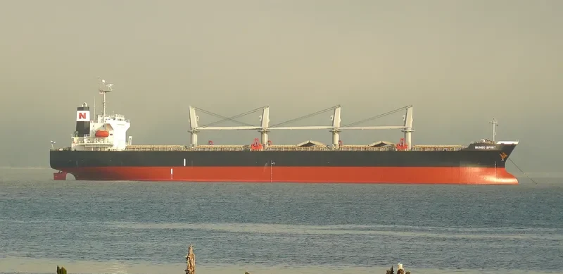 FANEROMENI Bulk Carrier IMO 9290995 photo 7