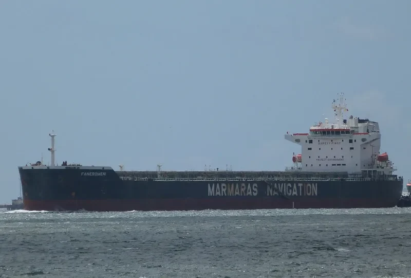 FANEROMENI Bulk Carrier IMO 9290995 photo 8