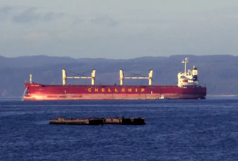 GREAT AMITY Bulk Carrier IMO 9291078 photo 3