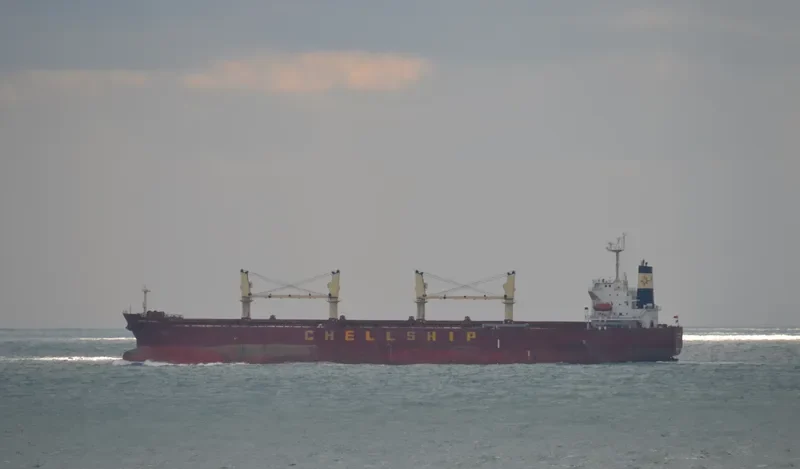 GREAT AMITY Bulk Carrier IMO 9291078 photo 4