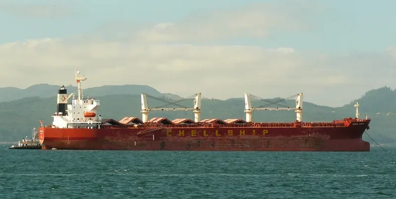 GREAT AMITY Bulk Carrier IMO 9291078 photo 7