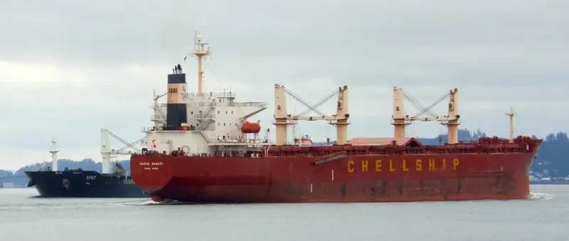 GREAT AMITY Bulk Carrier IMO 9291078 photo 10