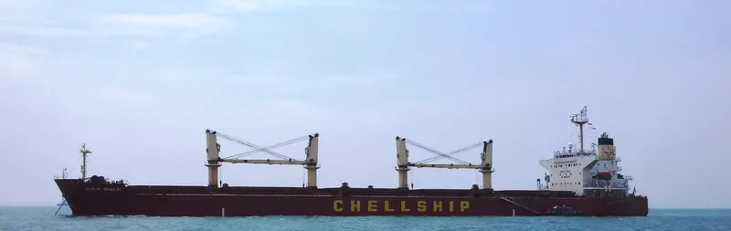 AKIJ PEARL Bulk Carrier IMO 9291080 photo 3