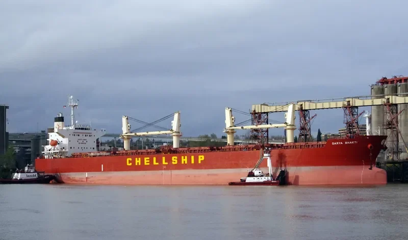 AKIJ PEARL Bulk Carrier IMO 9291080 photo 5
