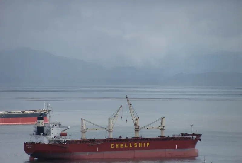 AKIJ PEARL Bulk Carrier IMO 9291080 photo 6