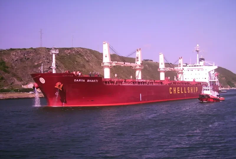 AKIJ PEARL Bulk Carrier IMO 9291080 photo 7