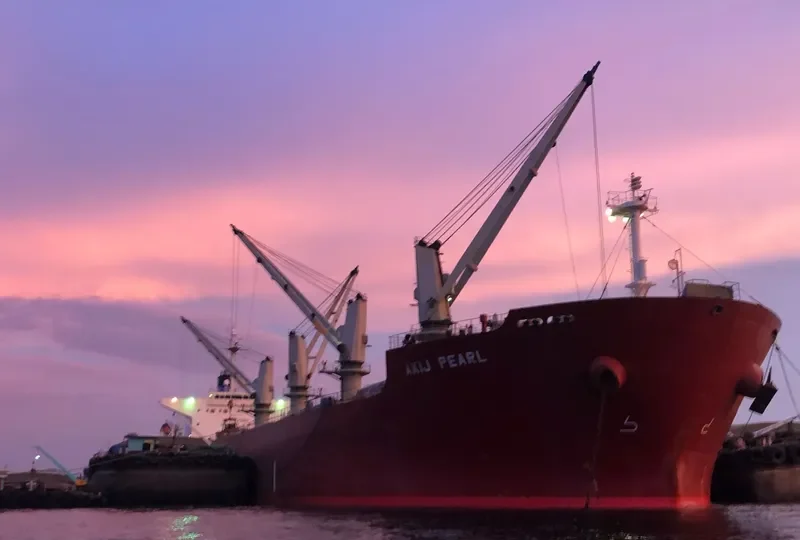 AKIJ PEARL Bulk Carrier IMO 9291080 photo 8