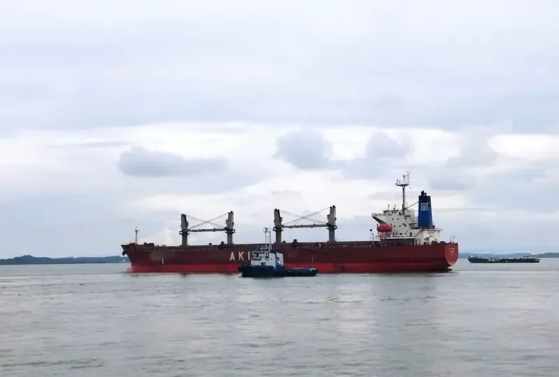 AKIJ PEARL Bulk Carrier IMO 9291080 photo 9