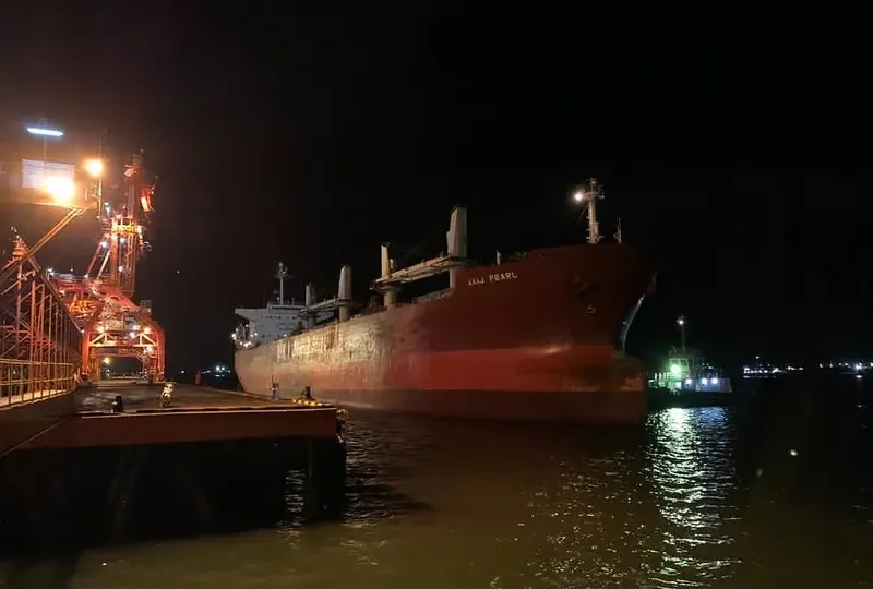 AKIJ PEARL Bulk Carrier IMO 9291080 photo 10