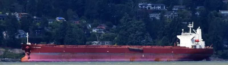 ERIKOUSSA Bulk Carrier IMO 9291092 photo 3