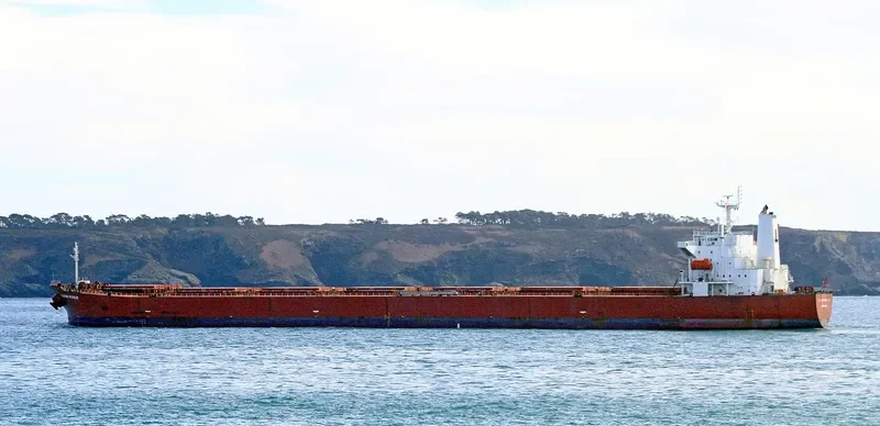 ERIKOUSSA Bulk Carrier IMO 9291092 photo 10