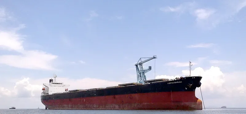 KARTINI BARUNA Bulk Carrier IMO 9291107 photo 2