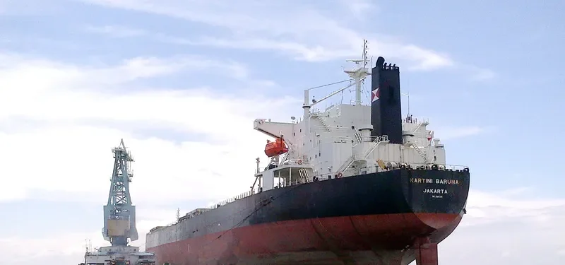 KARTINI BARUNA Bulk Carrier IMO 9291107 photo 4