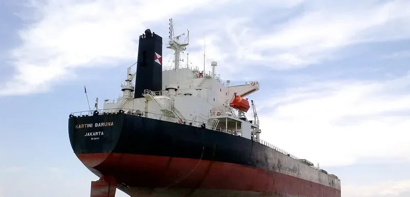 KARTINI BARUNA Bulk Carrier IMO 9291107 photo 5