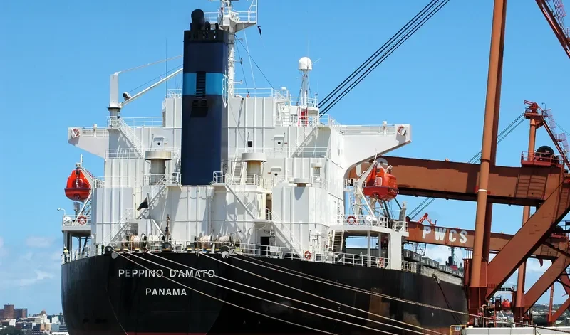 KARTINI BARUNA Bulk Carrier IMO 9291107 photo 7
