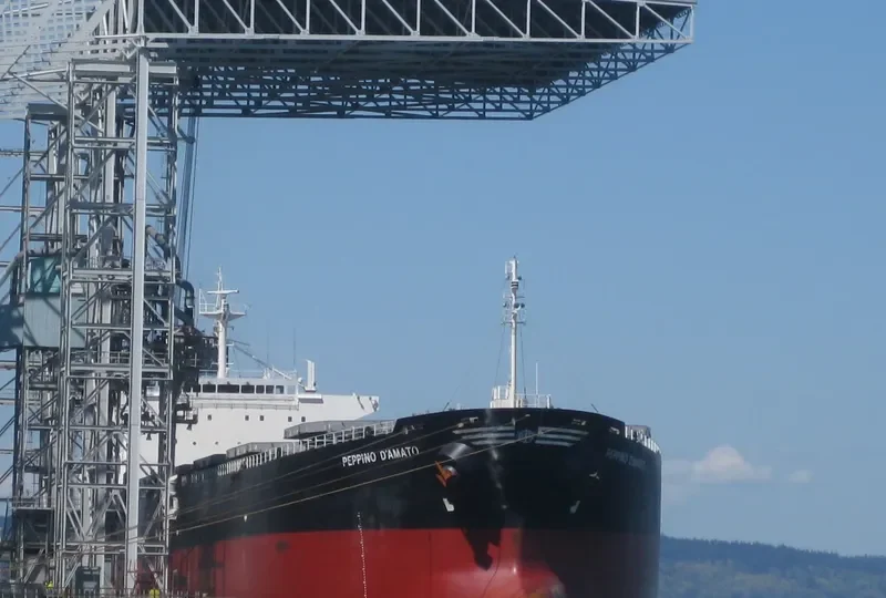 KARTINI BARUNA Bulk Carrier IMO 9291107 photo 9