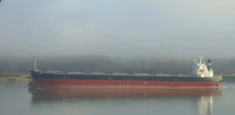 KARTINI BARUNA Bulk Carrier IMO 9291107 photo 10