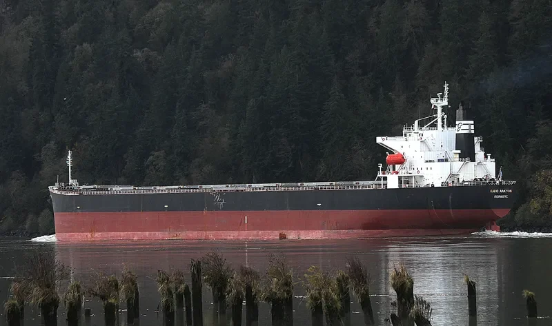 KAVO ALKYON Bulk Carrier IMO 9291121 photo 2