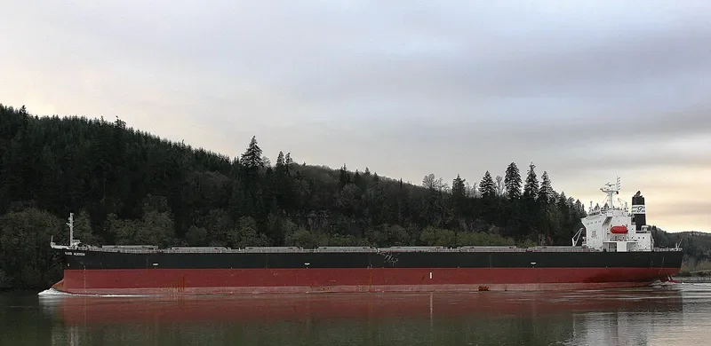 KAVO ALKYON Bulk Carrier IMO 9291121 photo 3