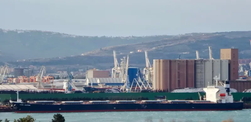 KAVO ALKYON Bulk Carrier IMO 9291121 photo 6