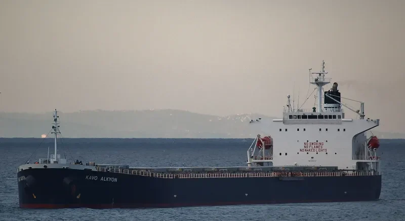 KAVO ALKYON Bulk Carrier IMO 9291121 photo 9