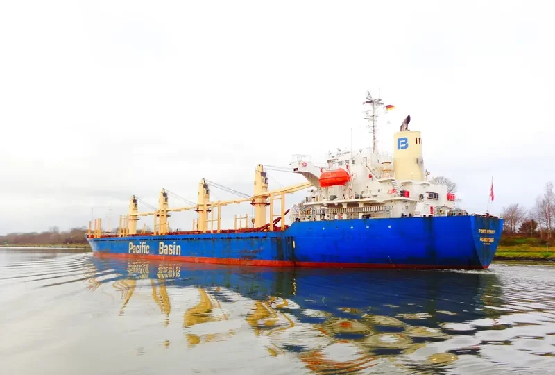 PORT KENNY Bulk Carrier IMO 9291212 photo 2